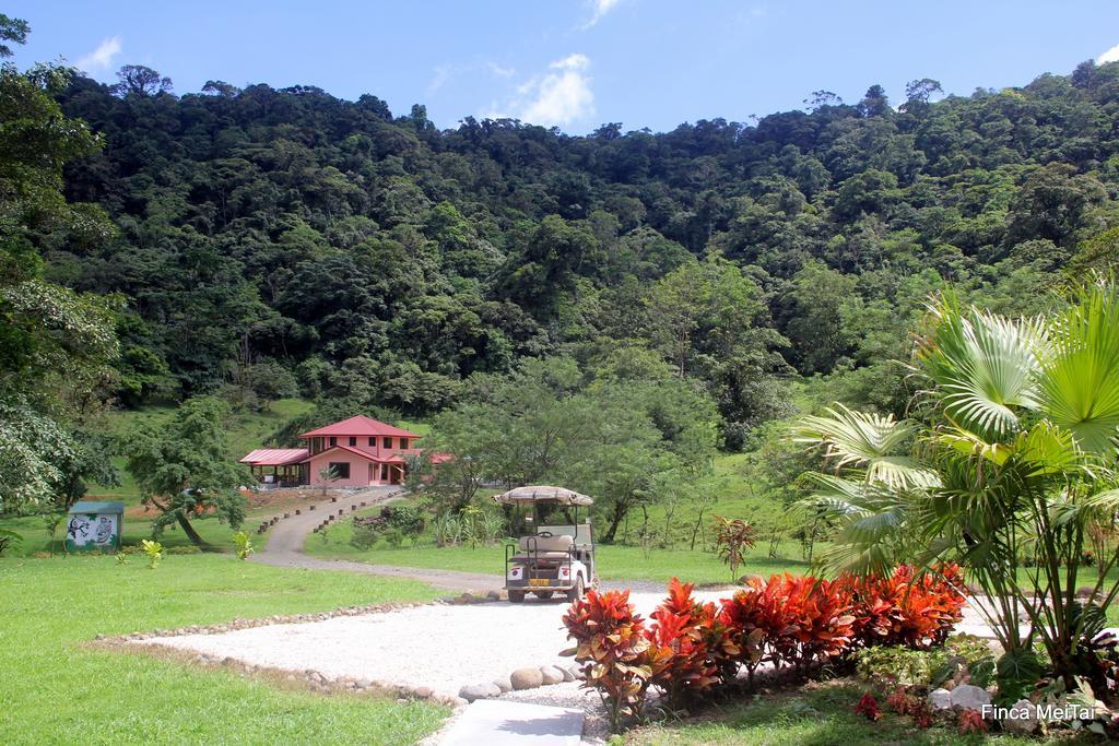 Mei Tai Cacao Lodge 비자구아 외부 사진