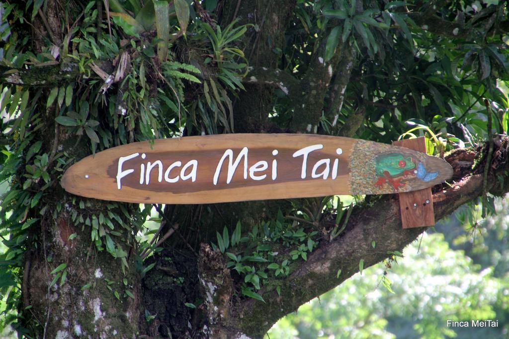 Mei Tai Cacao Lodge 비자구아 외부 사진